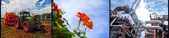 شرکت صنعتی لادن قزوین؛ تولیدکننده فیلتر خودروهای نیمهسنگین و سنگین، ماشینآلات کشاورزی و راهسازی.